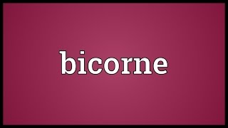 Bicorne Meaning [upl. by Netsrak]