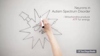 Autism Spectrum Disorder The Cell Danger Response [upl. by Toshiko]