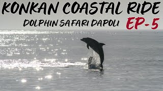 Dolphins in Maharashtra  Best Experience  Konkan  Tourism  Konkan Coastal Ride [upl. by Eimilb15]