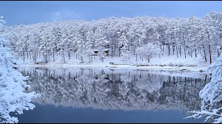 美しい雪景色 Beautiful snow scene 4K [upl. by Eelrahs]