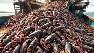 American Fishermen Catch Billions Of Lobster And King Crabs This Way  Seafood Processing Factory [upl. by Hebner]