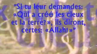 ATTAWHID LUnicité dAllah  Explication et signification Par les grands savants [upl. by Ayam]