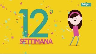 12° settimana di gravidanza [upl. by Pytlik238]