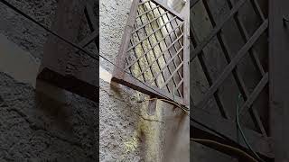 Angle jali barfi desaign kese banaye 🫡 welder weldingcreative weldingindustry viralvideo [upl. by Balthazar310]