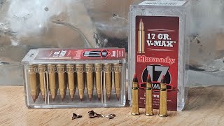 22LR has LEFT THE CHAT 17hmr VMax by Hornady Is this the BEST RIMFIRE cartridge [upl. by Blodgett]