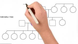 How to Draw a Family Tree  Part 2 Advanced [upl. by An]