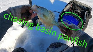 Chasing basin gills [upl. by Surbeck]