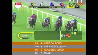 20240811  Race 9 Singapore Kranji Horse Racing Highlights  Pace88 Horse [upl. by Ylecic]