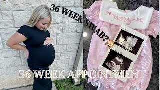 36 week pregnancy update  36 week swab  Baby countdown [upl. by Ande]