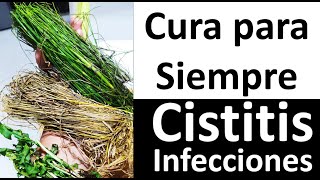 4 🌵🌿🌱🌴 4 Plantas De Poder Que Curan La Cistitis Y Las Infecciones Urinarias Para Siempre nunca Mas [upl. by Ayatnwahs393]