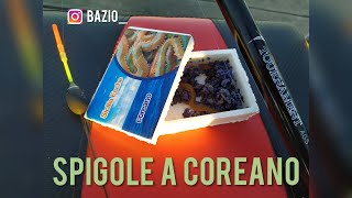 SPIGOLE A BOLOGNESE CON IL COREANO [upl. by Hutner]