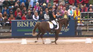 Moritz Treffinger GER Wins Freestyle Dressage to Music [upl. by Adil]