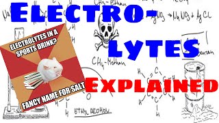 Electrolytes Explained [upl. by Laurance]