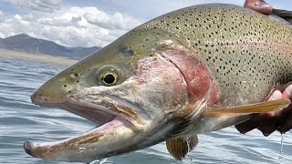 SLAY DAY  Fly Fishing Spinney Mountain Reservoir for BIG TROUT amp PIKE in South Park Colorado [upl. by Gnuh73]