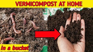 HOW TO MAKE VERMICOMPOST AT HOME  Make Enriched Vermicompost at Home And Use In Your Plants [upl. by Park]