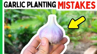 5 Garlic Planting MISTAKES To Avoid [upl. by Mandel]