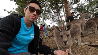 Blog de viaje a Australia 🇦🇺🦘 [upl. by Benil704]