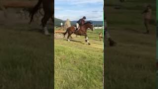 Rebecca Farm Horse Trial [upl. by Neleb]