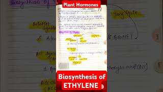 Ethylene• Biosynthesis of Ethylene Plant Hormone• Biosynthesis Cycle• Plant Physiology• csirnetmsc [upl. by Leisha]