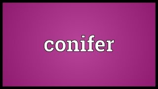 Conifer Meaning [upl. by Saxet121]