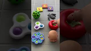 LEY⁉️💲♿️Wyyyyyyyy Wieeeeeee 🪳🍅🐸👶🏻👣 satisfying toys squishy fidget foryou shorts [upl. by Collins]