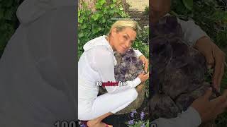 Yolanda Hadid Came To New York Flat Broke yolandahadid model celebs [upl. by Yennep136]