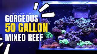 Gorgeous Mixed 50 Gallon Reef  Canadian Tank Tours  Wael EF [upl. by Tound]