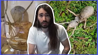 Charlie Reviews Alien Evidence  MoistCr1tikal [upl. by Niloc]