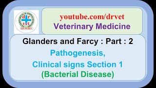 Glanders Part 2  Pathogenesis clinical signs section  1 [upl. by Madeleine]