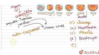 Arrange the terms given below in their orthir order of occurrence describing their ructure and [upl. by Anialahs175]