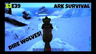 Taming a Dire Wolf and Tundra Base S2E39 Ark Survival Evolved [upl. by Moia]