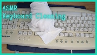 ASMR  Cleaning an Old Keyboard  Gentle Typing Bottle Sounds No Talking [upl. by Scurlock]