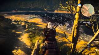 The Witcher 3  Missão Principal  Quando Algo Termina Algo Começa FINAL [upl. by Wilbur425]