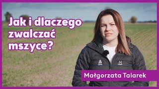 Jak i dlaczego zwalczać mszyce [upl. by Yborian]