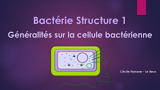 Bactérie Structure 1 BACTERIE [upl. by Nahtanha]