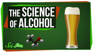 The Science of Alcohol From Beer to Bourbon [upl. by Sine]