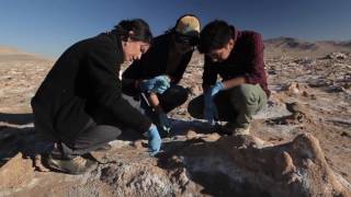 Los Avances de la Biología Sintética  Exploradores 2016 [upl. by Ateval741]