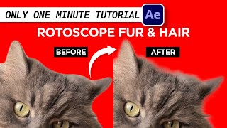 How to Rotoscope Hair Fur or Anything Difficult NO PLUGIN  1 Minute After Effect Tutorial [upl. by Ynohtnaluap]