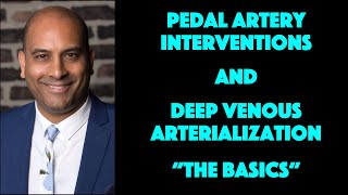 Pedal Artery Revasc to Deep Venous Arterialization DVA Basics Anatomy amp Brief Data Overview [upl. by Zoha571]