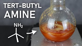 Making TertButylamine A Stinky Precursor to an Even Stinkier Isocyanide [upl. by Gorton878]