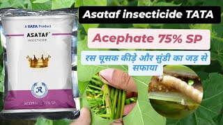 Asataf insecticide TATA Acephate 75 SP [upl. by Makell178]