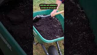 Spread Grass Seed amp Soil Fast  shorts soil maintenance lawn tips [upl. by Martelli]