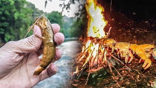 Pesca de Supervivencia 🦐 En Río Con Arpón 🔥 [upl. by Nibbs]