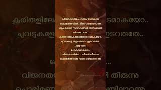 Vijanathayil 😇 trending viral malayalamlyrics [upl. by Elleda]