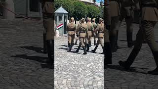 Watch The Hungarian Guards Change And Hear Their Shouts hungarian guards shouts [upl. by Gascony]