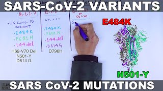 Variants of SARS CoV2  Mutations [upl. by Asilet]