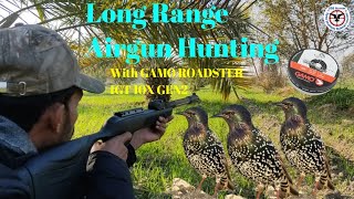 Long Range Airgun Hunting GAMO ROADSTER IGT 10X GEN2  SSB HUNTER [upl. by Ayahsal]