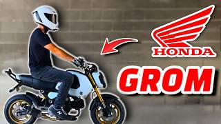 Honda Grom TestRideReview  Watch this BEFORE you BUY a 125cc Beginner Bike [upl. by Ttennaej326]