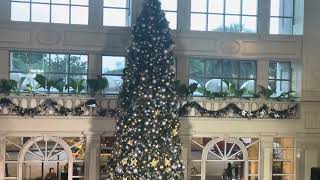 The Peninsula Manila holds an early Christmas Tree Lighting [upl. by Harima]