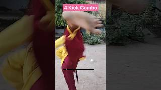 4 Kick Combo shorts [upl. by Enileuqcaj]